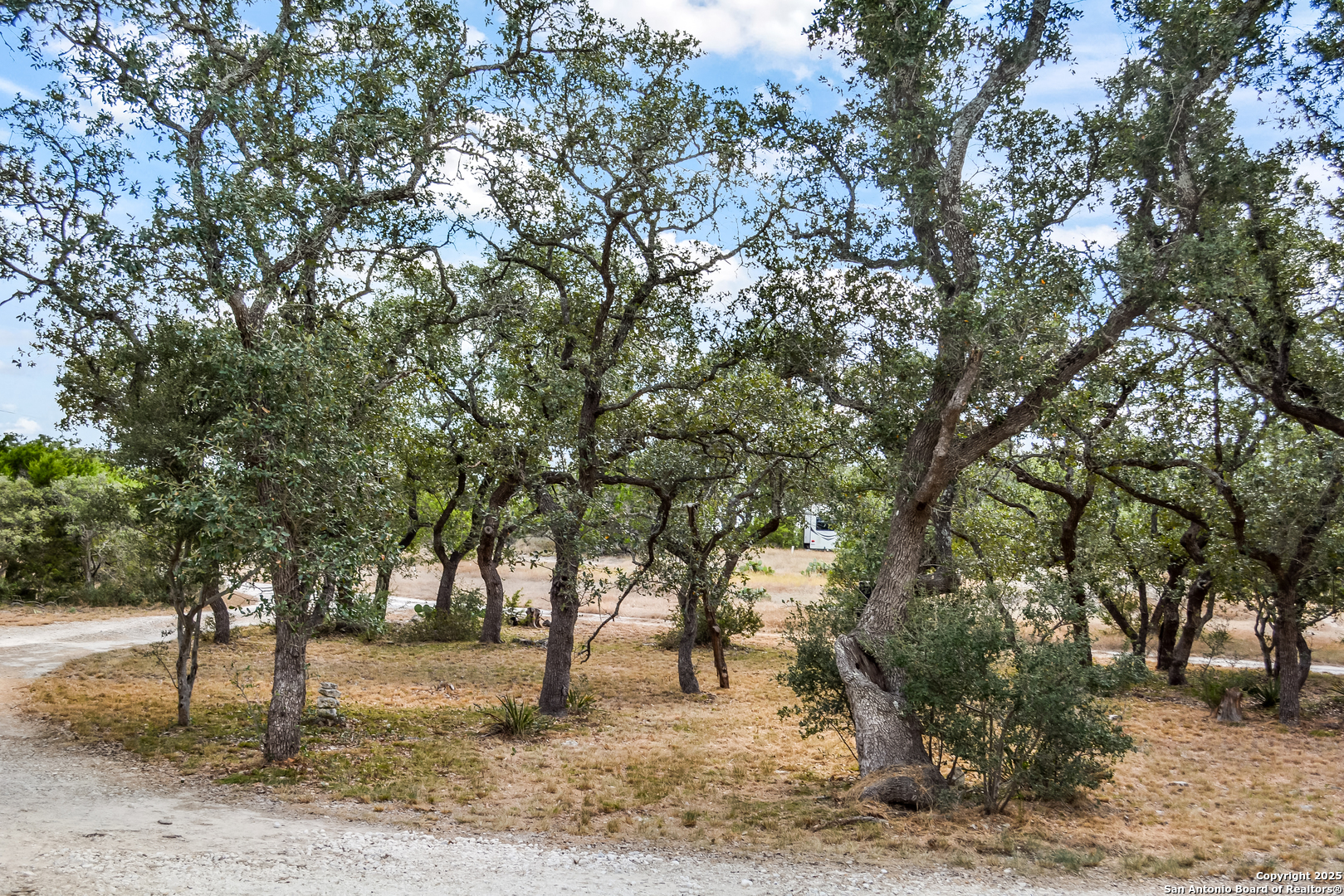 1263 Agaritaville Spring Branch, TX 78070 - Photo 32 of 42