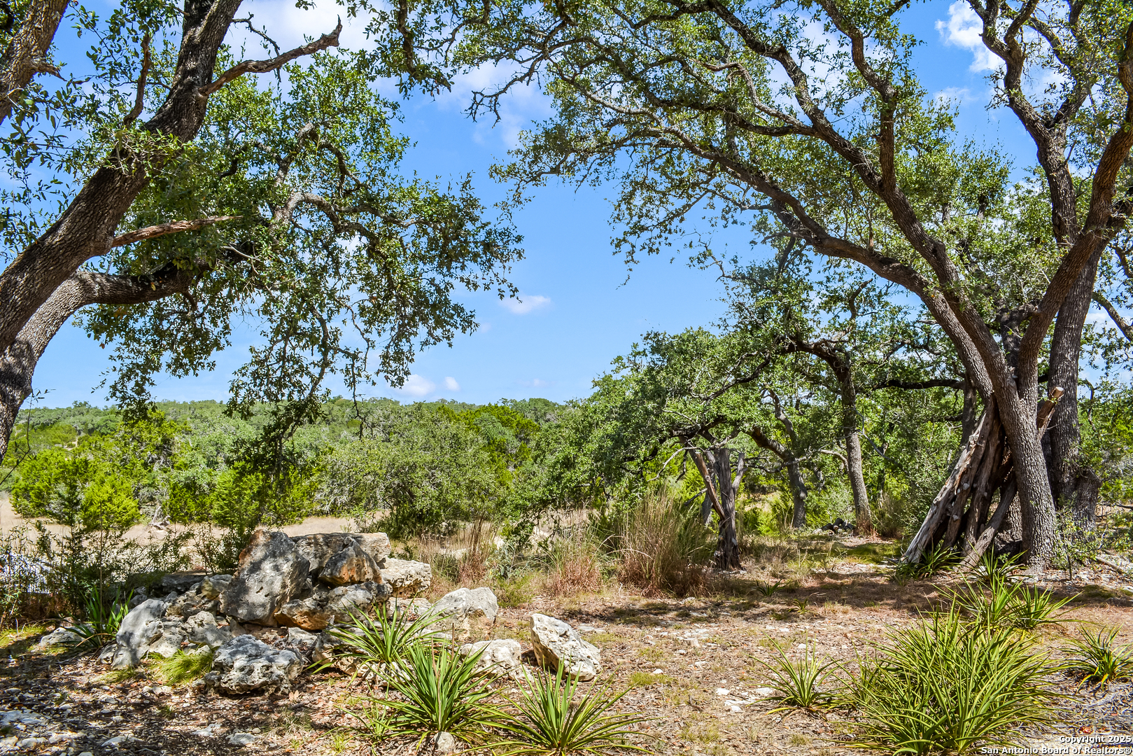 1263 Agaritaville Spring Branch, TX 78070 - Photo 33 of 42