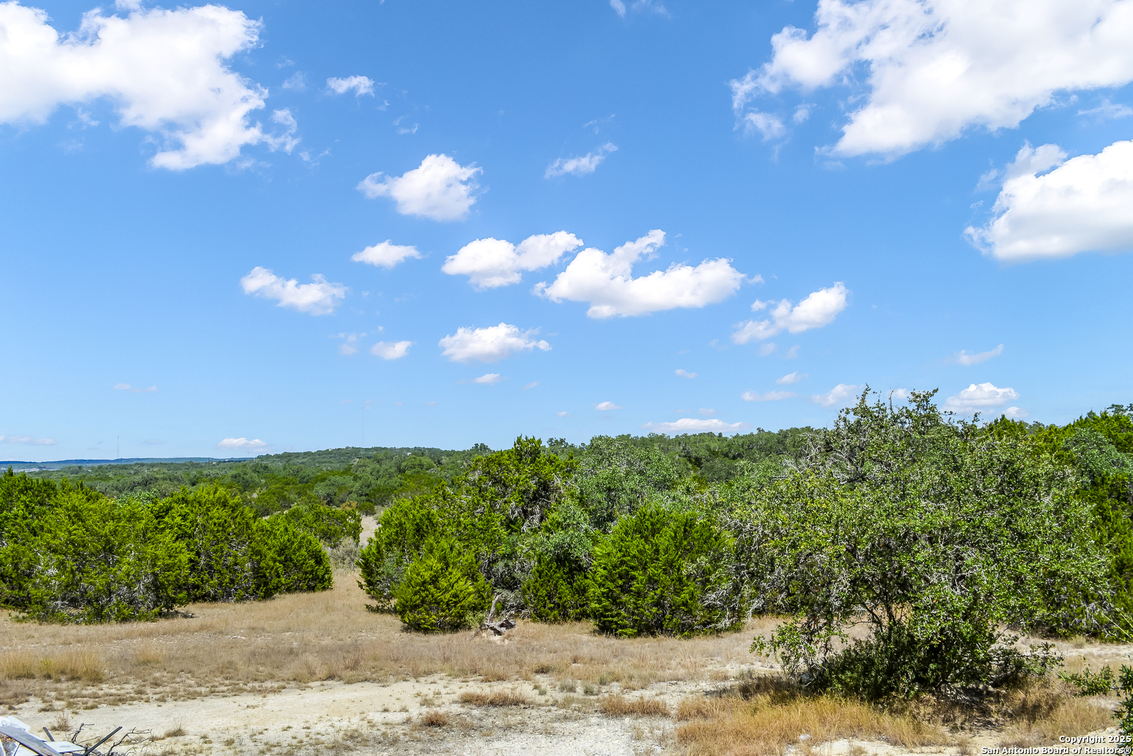 1263 Agaritaville Spring Branch, TX 78070 - Photo 34 of 42