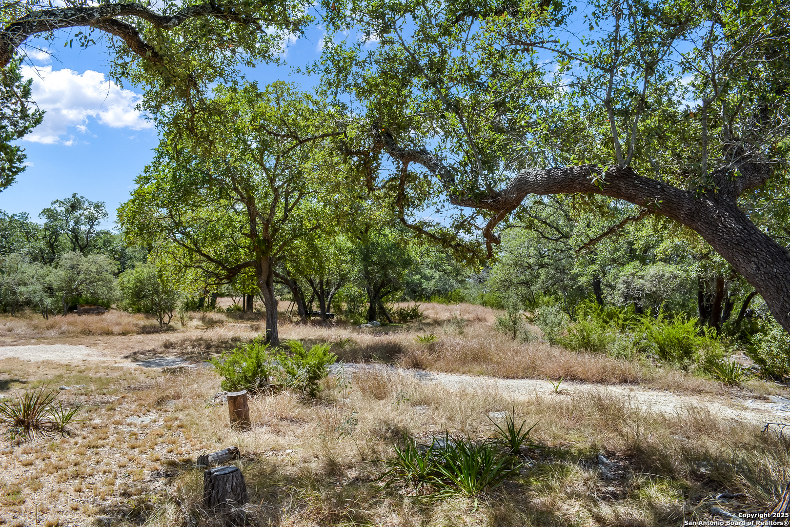 1263 Agaritaville Spring Branch, TX 78070 - Photo 35 of 42