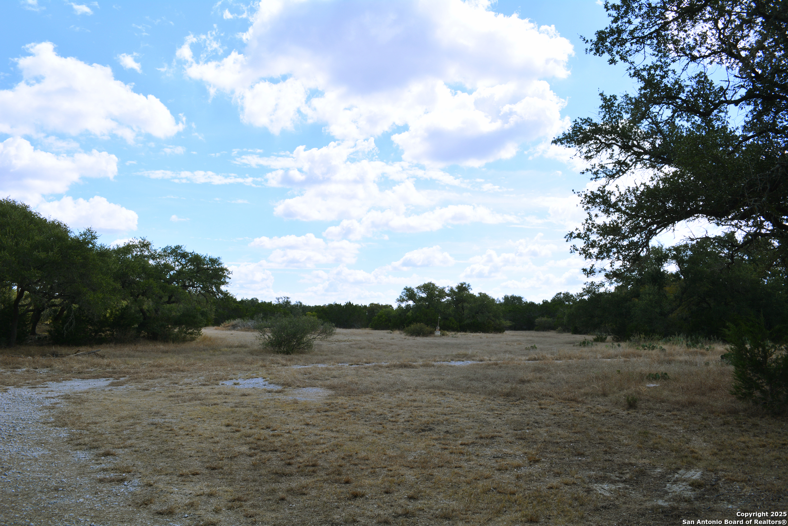 1263 Agaritaville Spring Branch, TX 78070 - Photo 36 of 42