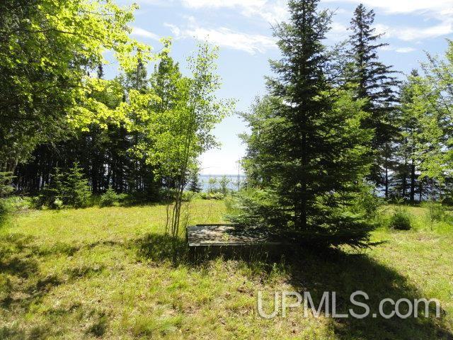 Tbd Puuri Road Baraga, MI 49908 - Photo 10 of 20