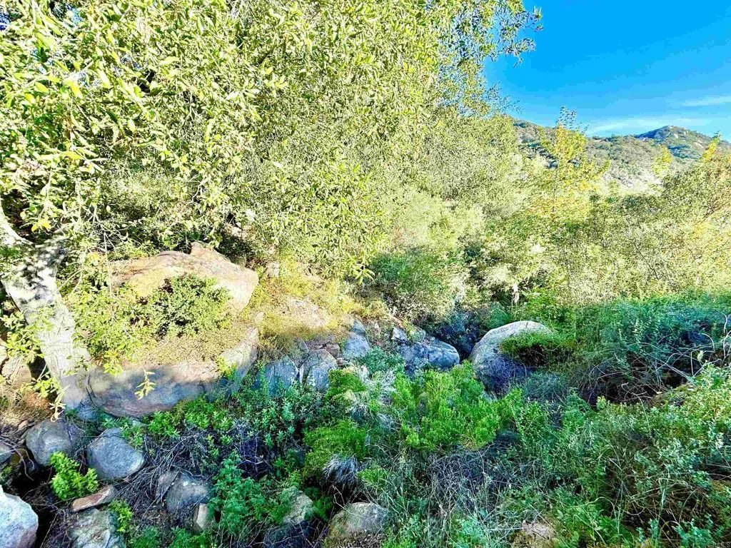 0 Mt Olympus Valley Road Fallbrook, CA 92028 - Photo 15 of 50