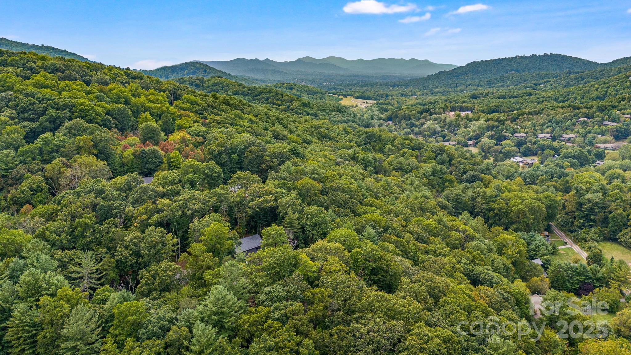 47 Webb Cove Road Asheville, NC 28804 - Photo 41 of 42 Gallery Image 41