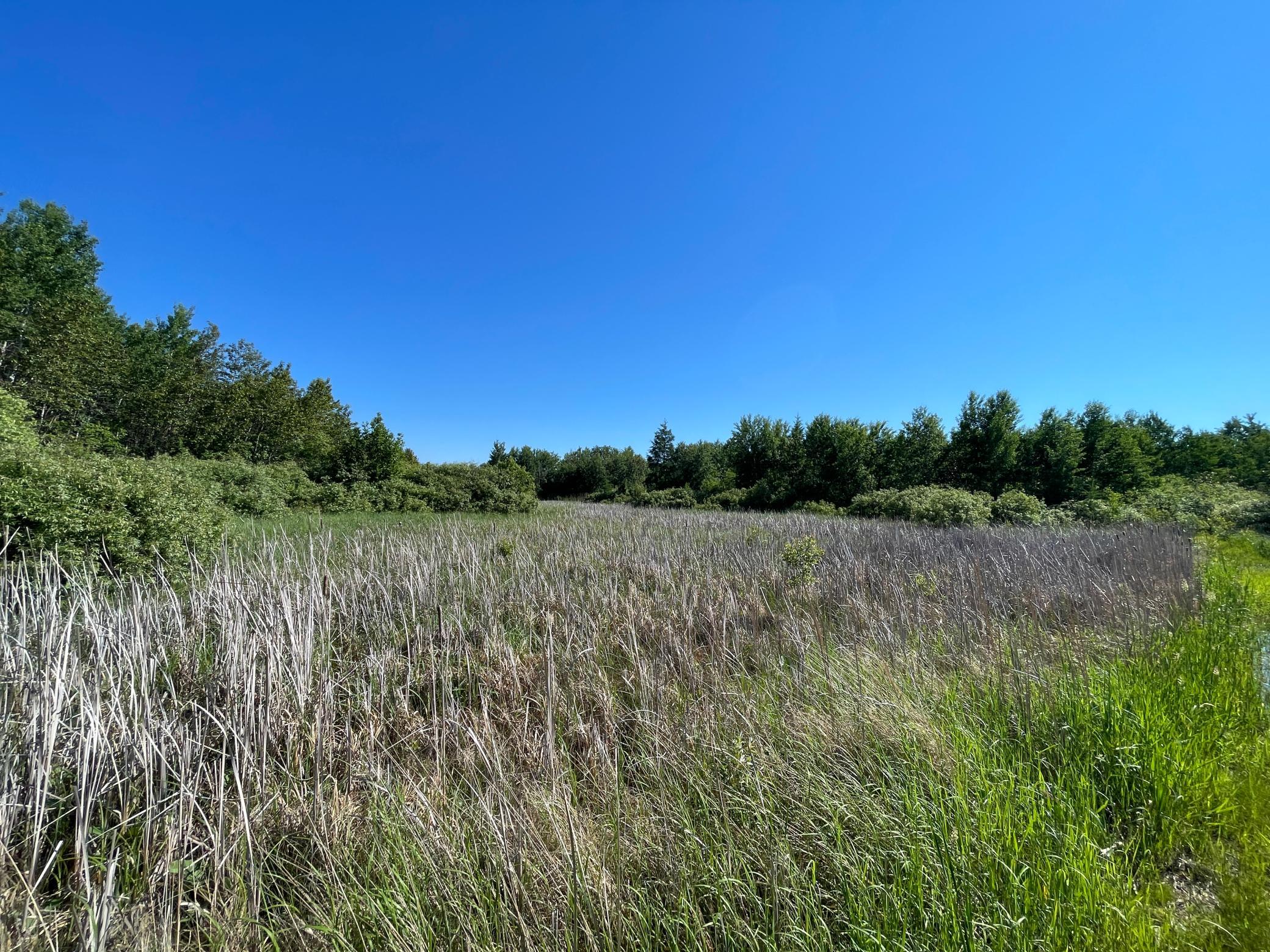 Tbd 440th Avenue Roseau, MN 56751 - Photo 40 of 80