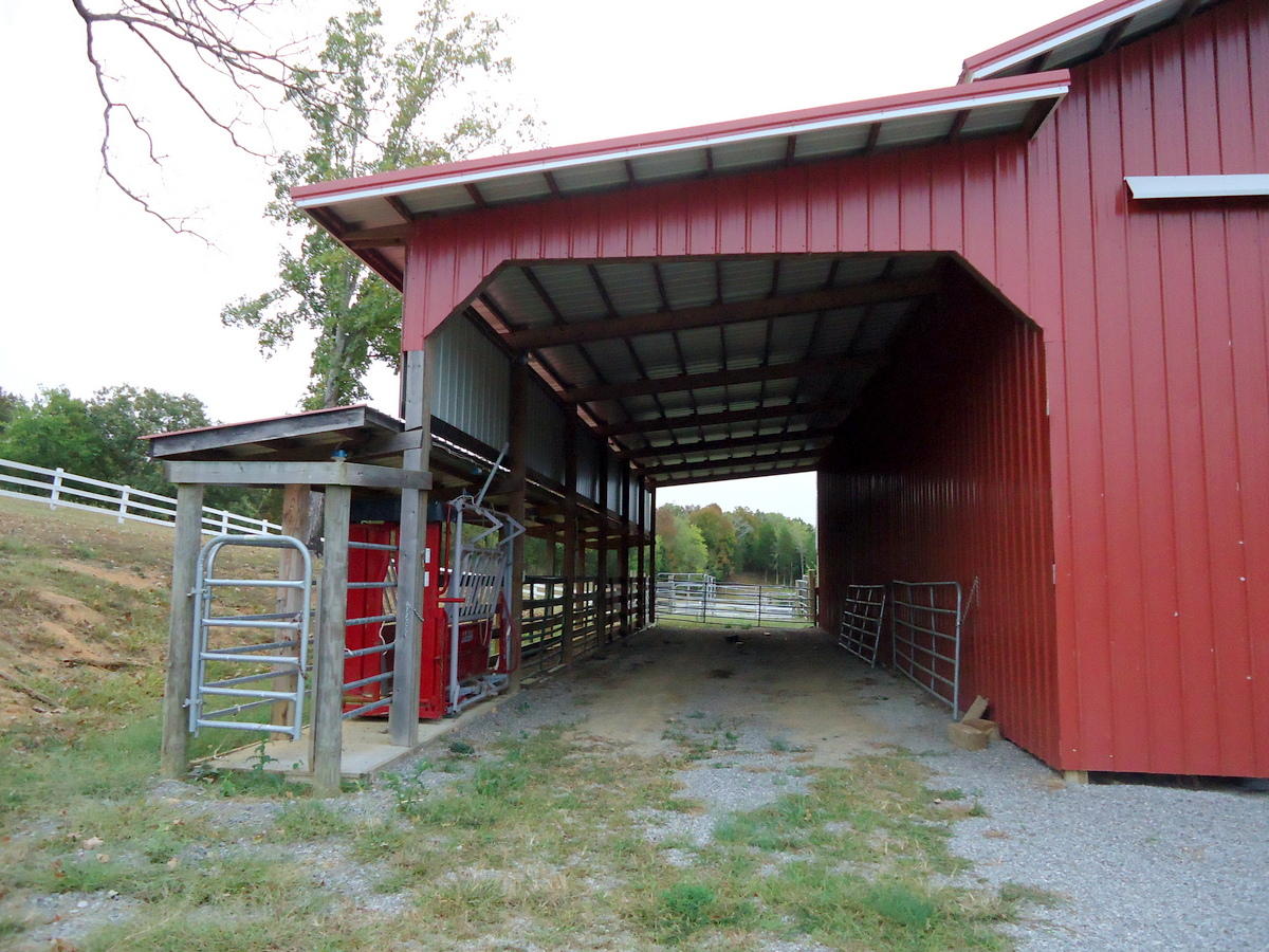 227 Millsaps Road Vonore, TN 37885 - Photo 12 of 43 12-DSC08542