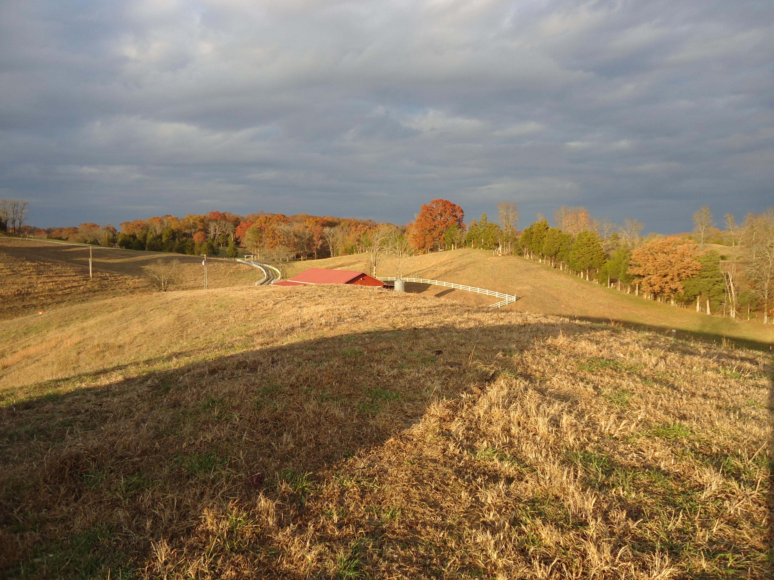 227 Millsaps Road Vonore, TN 37885 - Photo 35 of 43 DSC08994