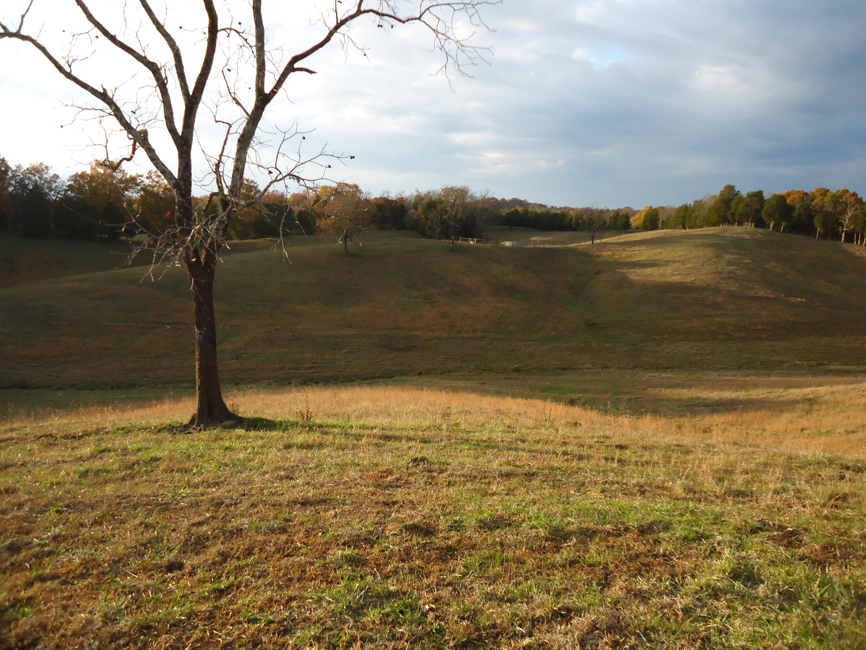 227 Millsaps Road Vonore, TN 37885 - Photo 36 of 43 DSC08991