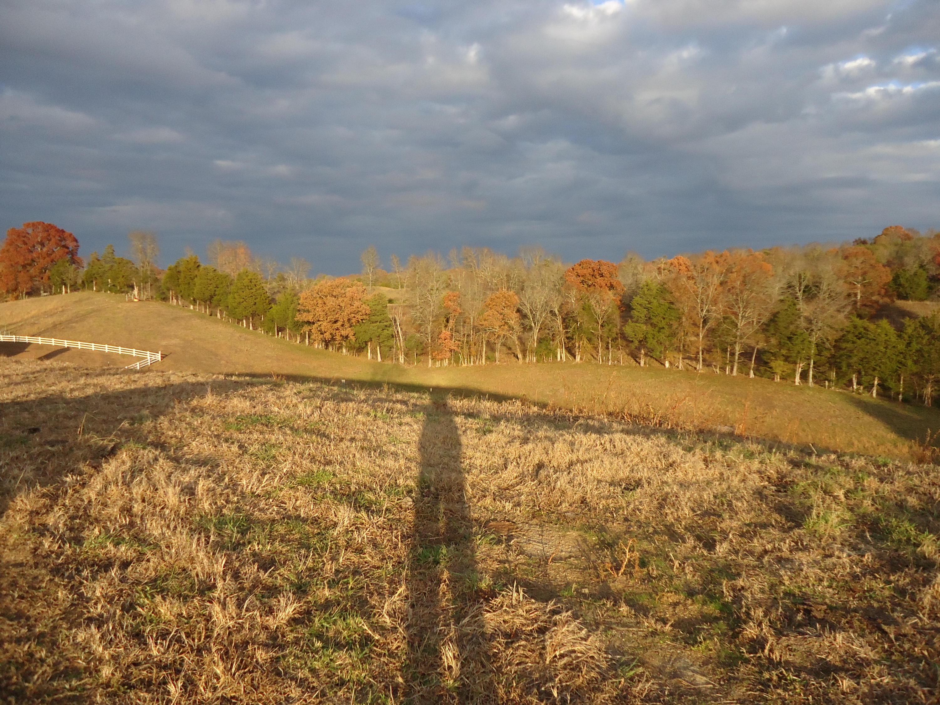 227 Millsaps Road Vonore, TN 37885 - Photo 38 of 43 DSC08993
