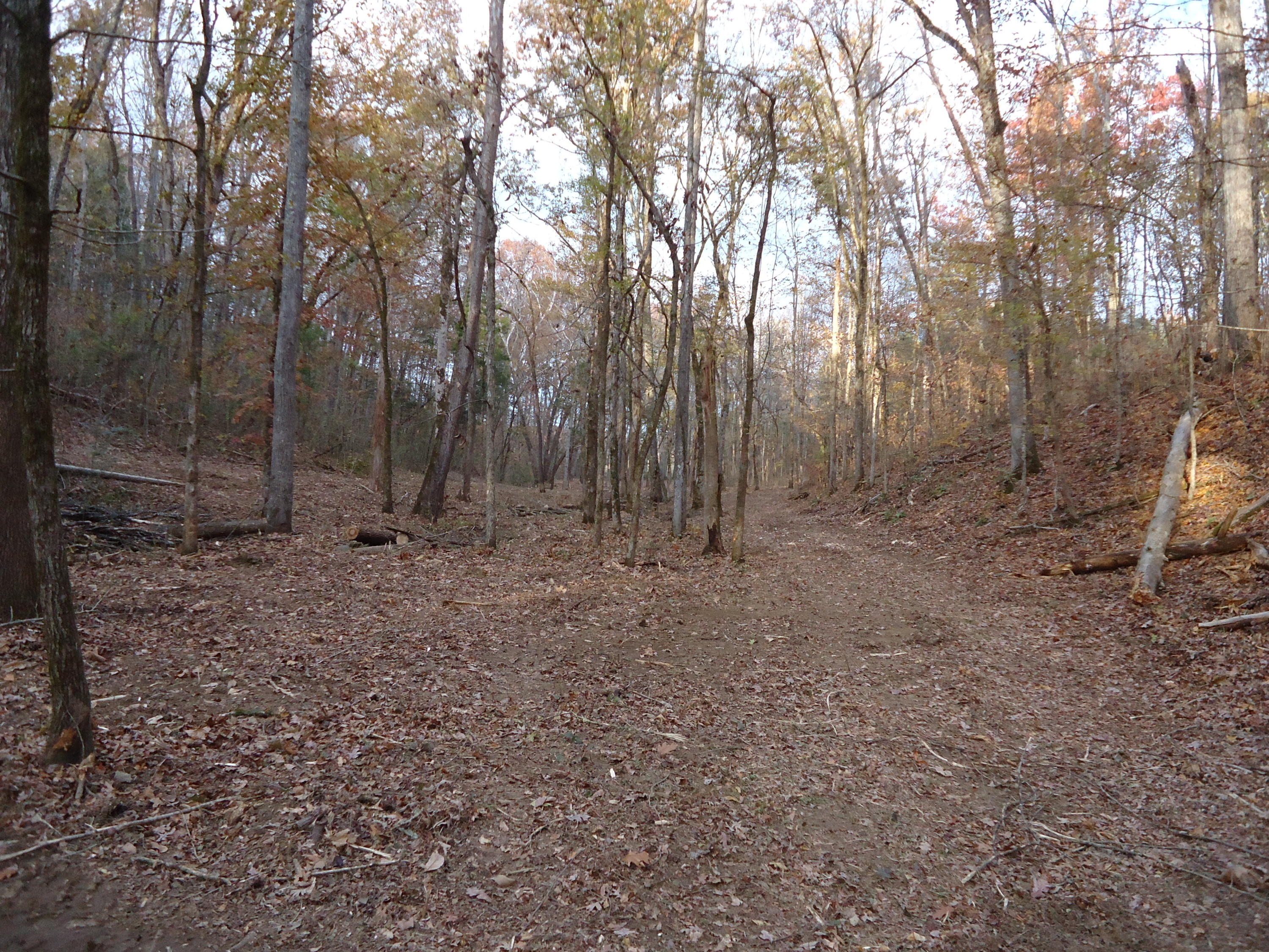 227 Millsaps Road Vonore, TN 37885 - Photo 40 of 43 DSC08986