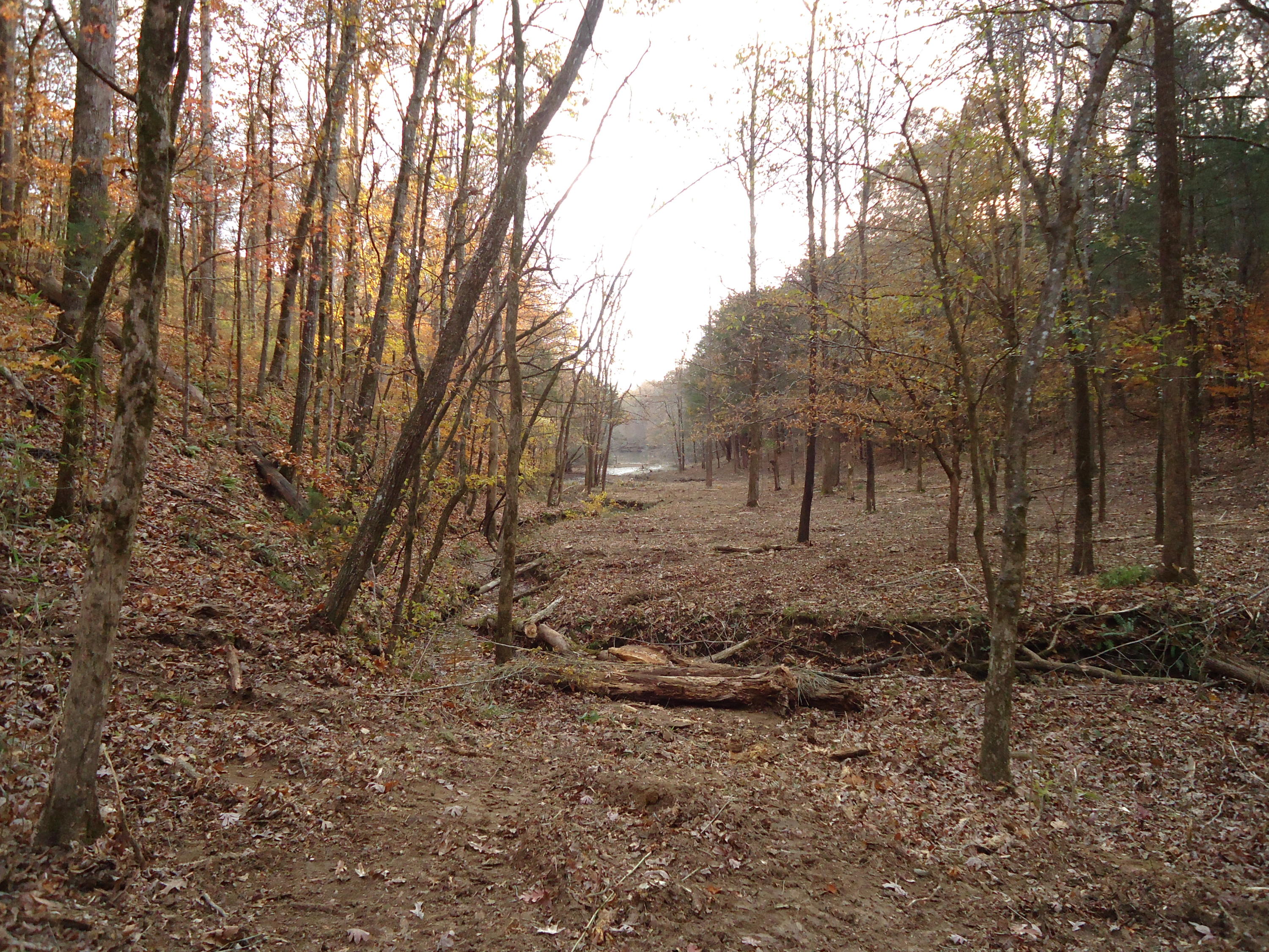 227 Millsaps Road Vonore, TN 37885 - Photo 41 of 43 DSC08987