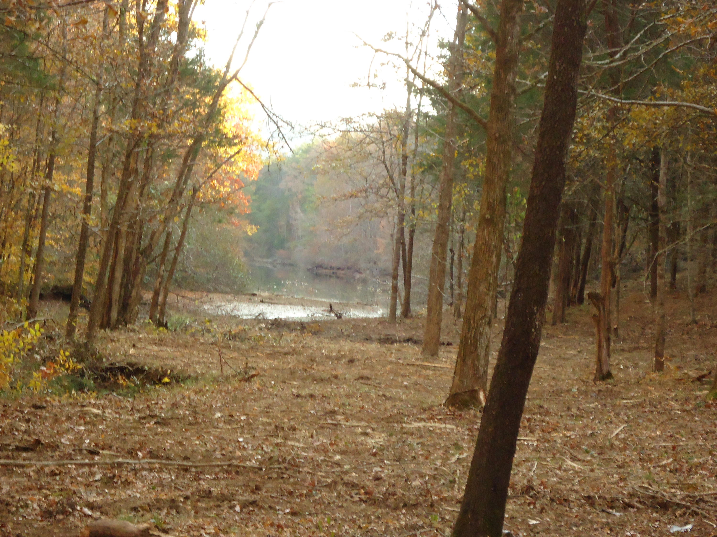 227 Millsaps Road Vonore, TN 37885 - Photo 42 of 43 DSC08988