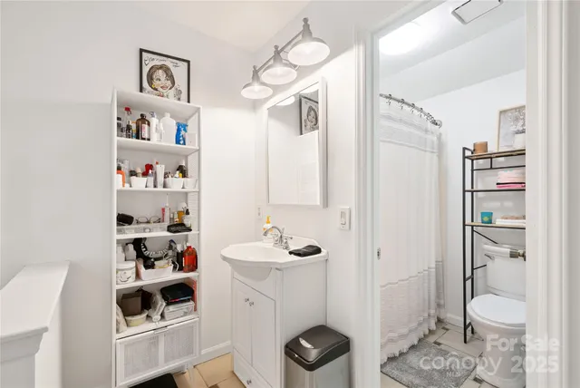 a bathroom with a sink a toilet and a shower curtain
