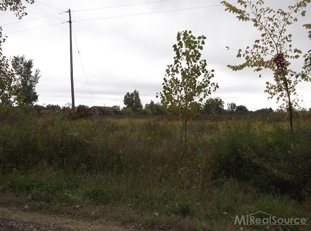 0 Metcalf Road Capac, MI 48014 - Photo 6 of 14