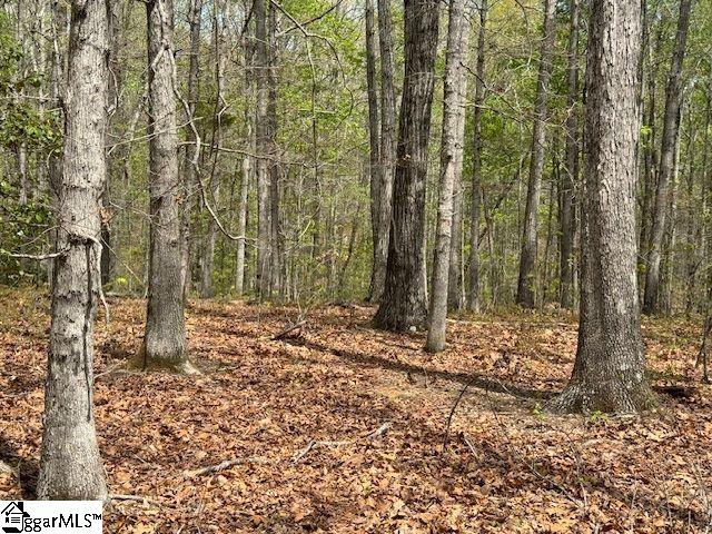 Tanyard Road Greenville, SC 29609 - Photo 13 of 20