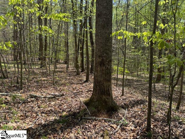 Tanyard Road Greenville, SC 29609 - Photo 2 of 20