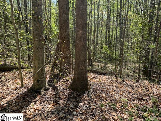 Tanyard Road Greenville, SC 29609 - Photo 4 of 20