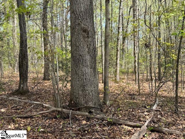 Tanyard Road Greenville, SC 29609 - Photo 6 of 20