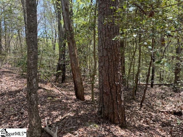Tanyard Road Greenville, SC 29609 - Photo 7 of 20