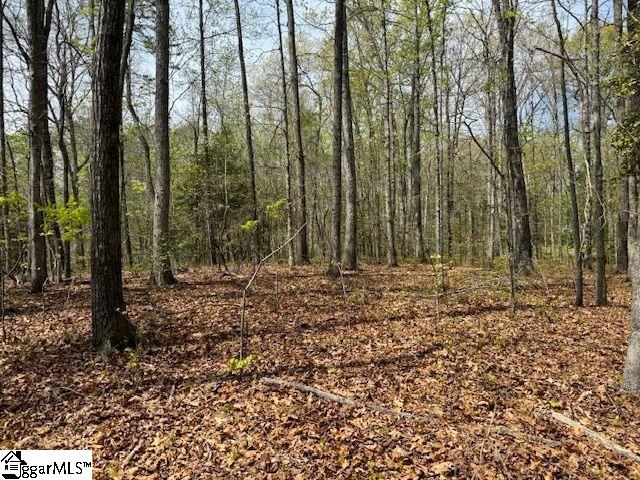 Tanyard Road Greenville, SC 29609 - Photo 8 of 20