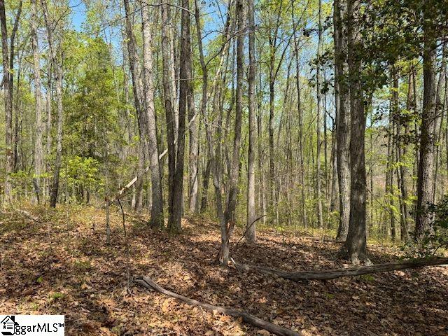 Tanyard Road Greenville, SC 29609 - Photo 9 of 20