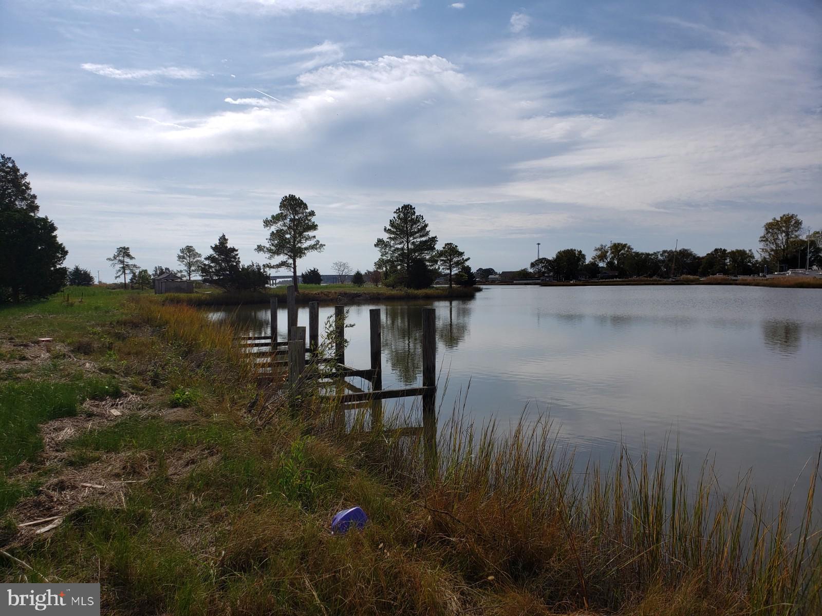 23349-23341 Cove Road Deal Island, MD 21821 - Photo 11 of 19 Gallery Image 11