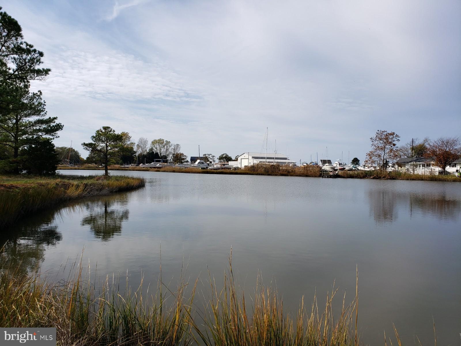 23349-23341 Cove Road Deal Island, MD 21821 - Photo 13 of 19 Gallery Image 13