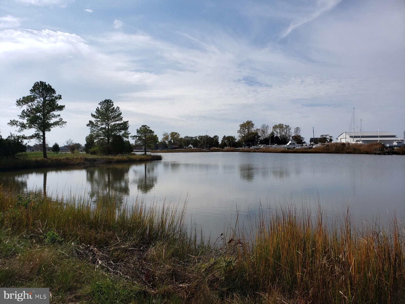 23349-23341 Cove Road Deal Island, MD 21821 - Photo 14 of 19 Gallery Image 14