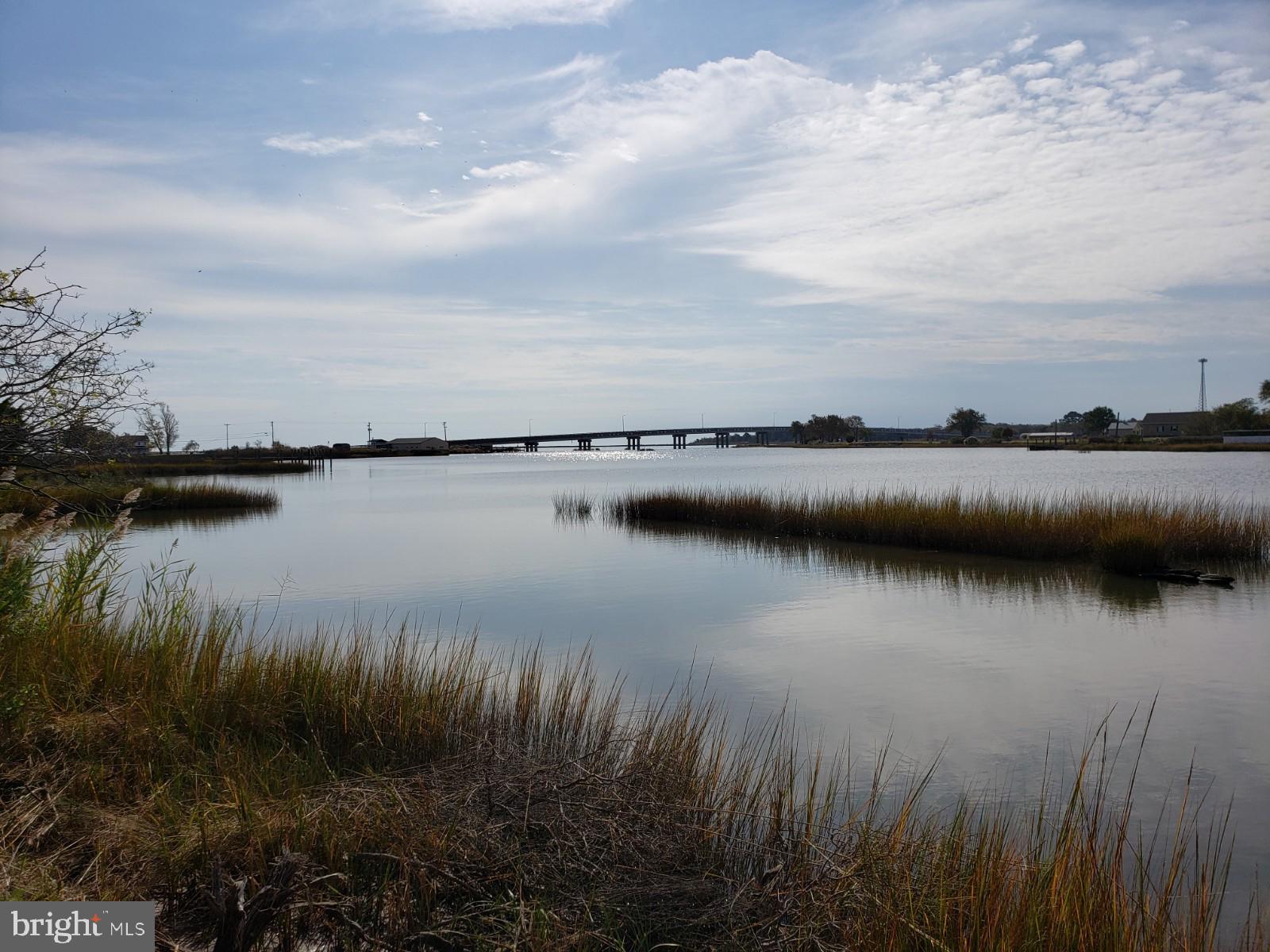 23349-23341 Cove Road Deal Island, MD 21821 - Photo 7 of 19 Gallery Image 7