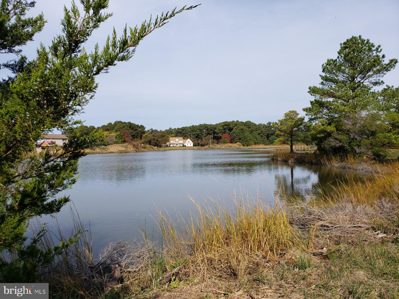 23349-23341 Cove Road Deal Island, MD 21821 - Photo 8 of 19 Gallery Image 8