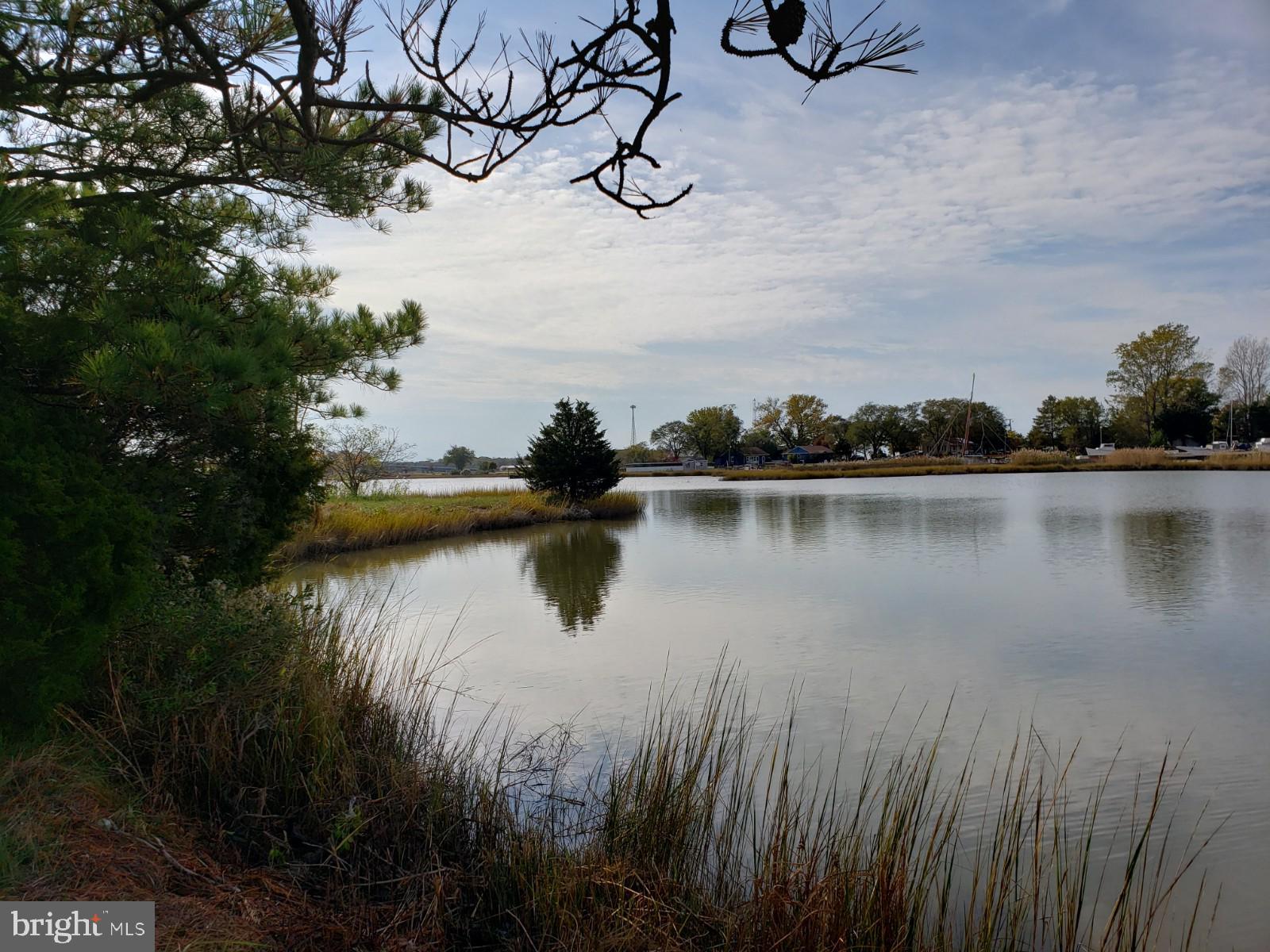 23349-23341 Cove Road Deal Island, MD 21821 - Photo 9 of 19 Gallery Image 9