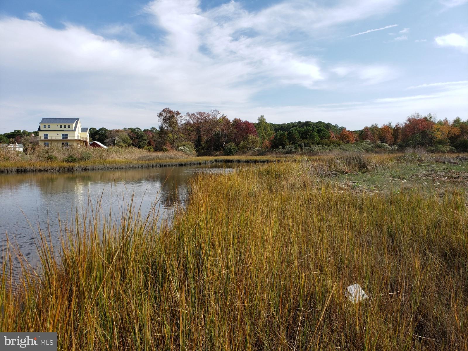23349-23341 Cove Road Deal Island, MD 21821 - Photo 10 of 19 Gallery Image 10