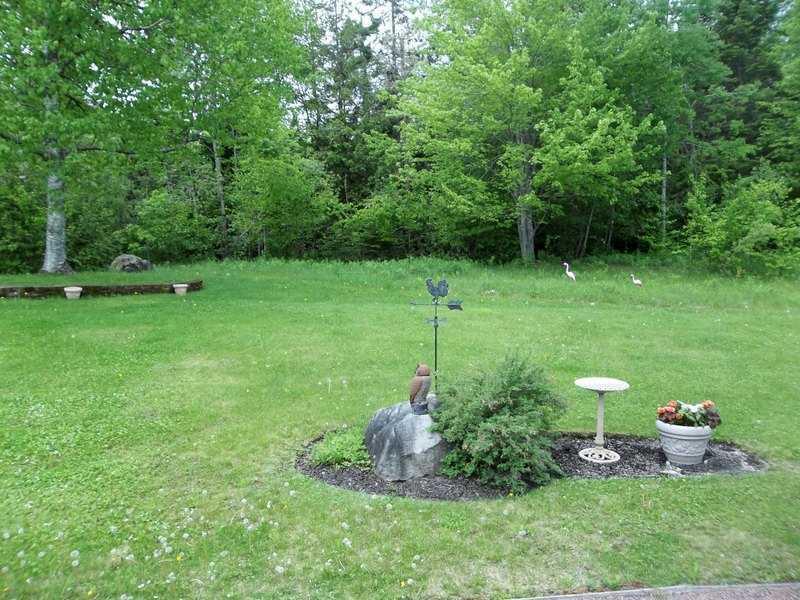 645 South River Road Calais, ME 04619 - Photo 17 of 23 Yard/Garden.