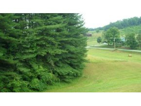 0 Doc Hawkins Road Greeneville, TN 37745 - Photo 13 of 16 Photo 13