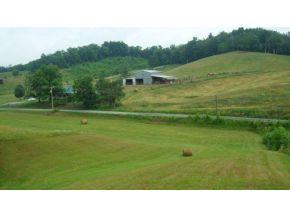0 Doc Hawkins Road Greeneville, TN 37745 - Photo 15 of 16 Photo 15