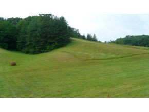0 Doc Hawkins Road Greeneville, TN 37745 - Photo 3 of 16 Photo 3