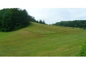0 Doc Hawkins Road Greeneville, TN 37745 - Photo 4 of 16 Photo 4
