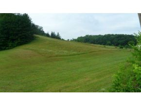 0 Doc Hawkins Road Greeneville, TN 37745 - Photo 5 of 16 Photo 5