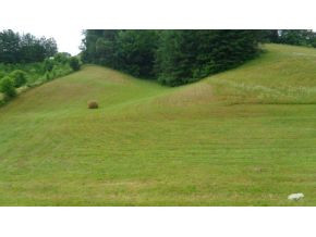 0 Doc Hawkins Road Greeneville, TN 37745 - Photo 6 of 16 Photo 6