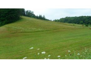 0 Doc Hawkins Road Greeneville, TN 37745 - Photo 8 of 16 Photo 8