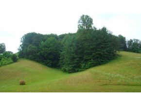0 Doc Hawkins Road Greeneville, TN 37745 - Photo 9 of 16 Photo 9