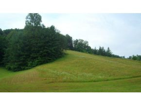 0 Doc Hawkins Road Greeneville, TN 37745 - Photo 10 of 16 Photo 10