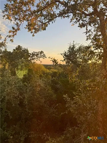 a view of a wooden deck and trees in the background