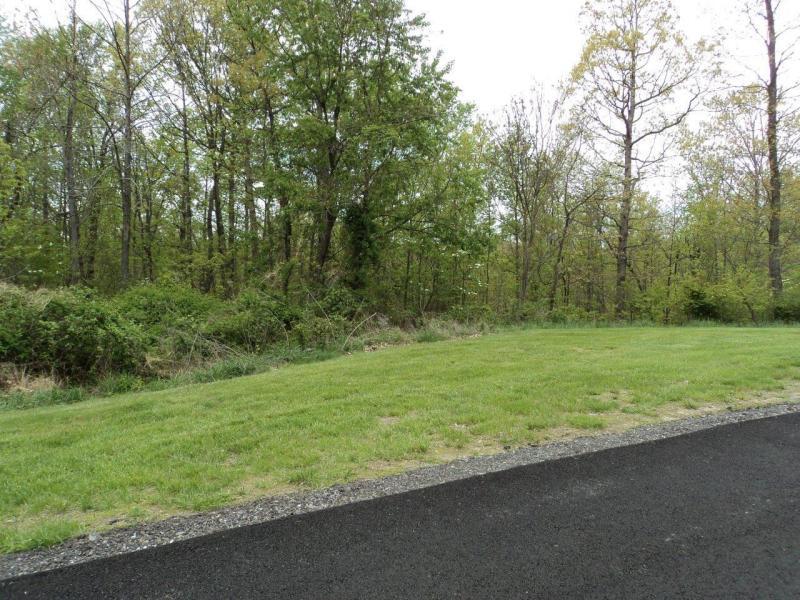 Lot 24 Mayberry Drive Blue Ridge, VA 24064 - Photo 1 of 1 LAND