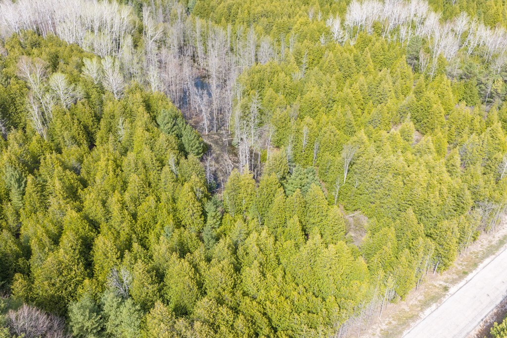 Lot 2 Hill Road Sister Bay, WI 54234 - Photo 27 of 35