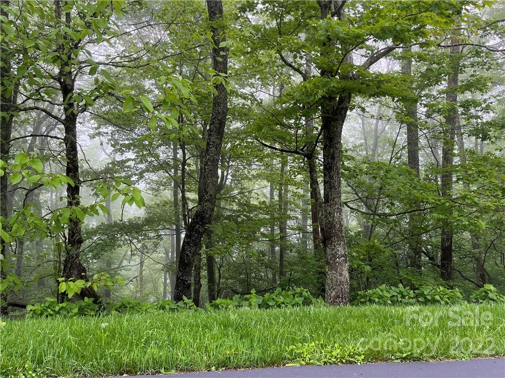 Lot 23 Boone Ridge Lane, Unit LOT 23 Boone, NC 28607 - Photo 2 of 5 front view of a forest