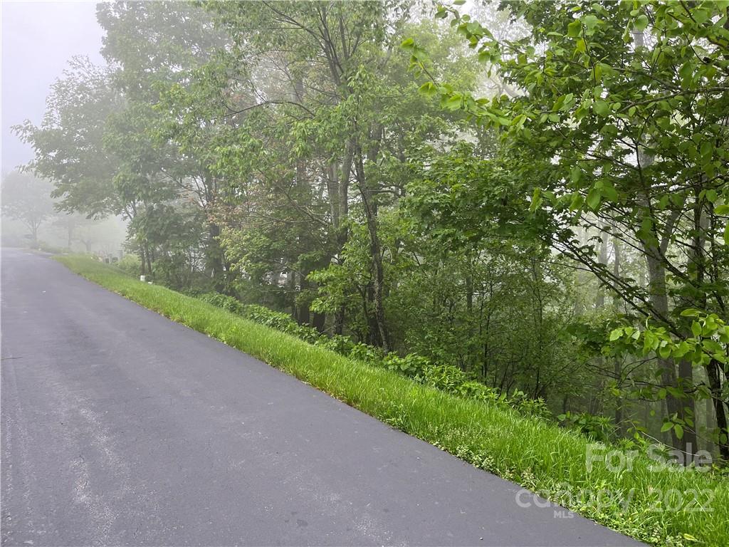 Lot 23 Boone Ridge Lane, Unit LOT 23 Boone, NC 28607 - Photo 3 of 5 a view of a road from a yard