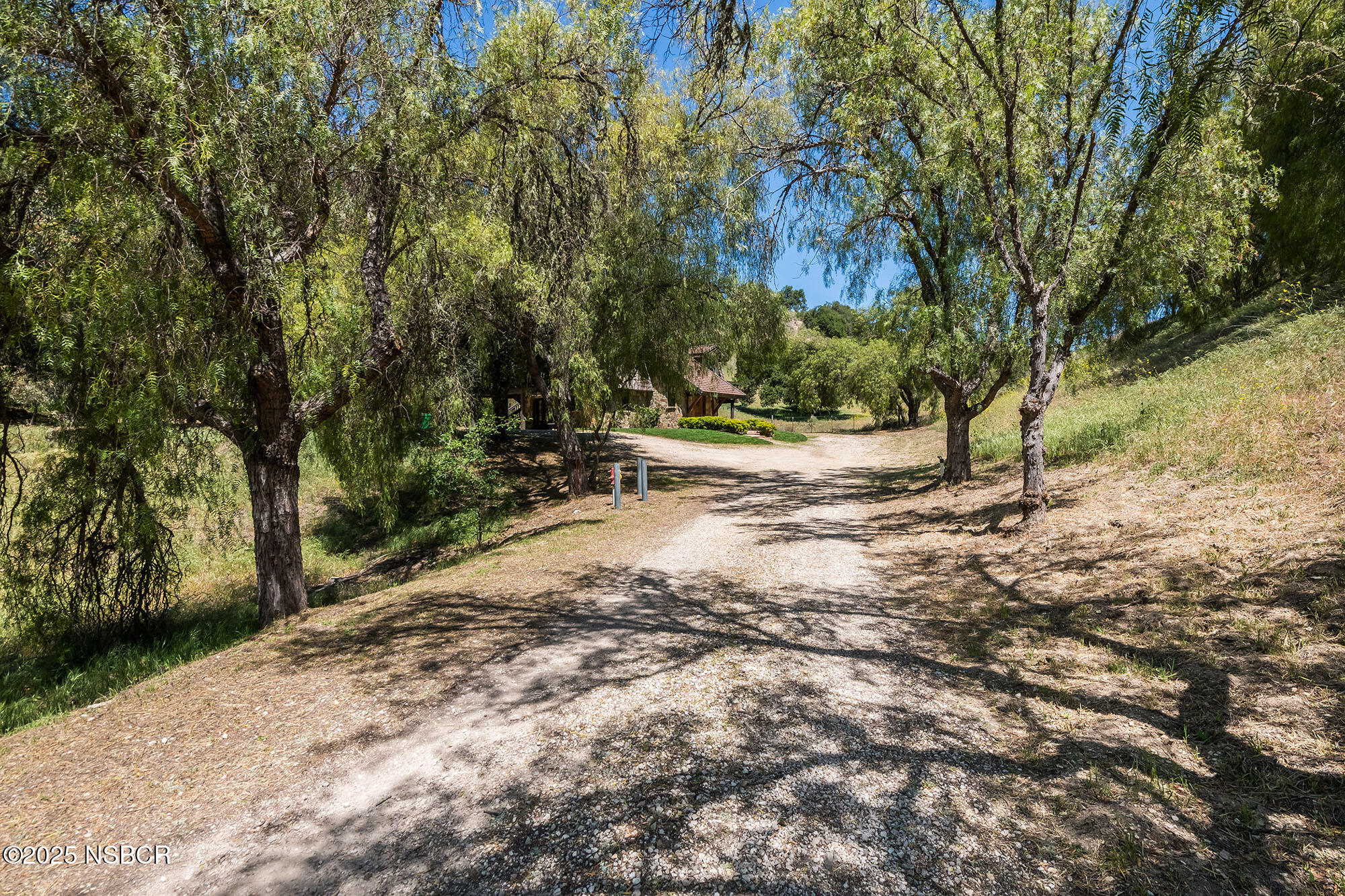 3333-3349 Long Valley Road Santa Ynez, CA 93460 - Photo 22 of 97 a view of dirt yard with trees