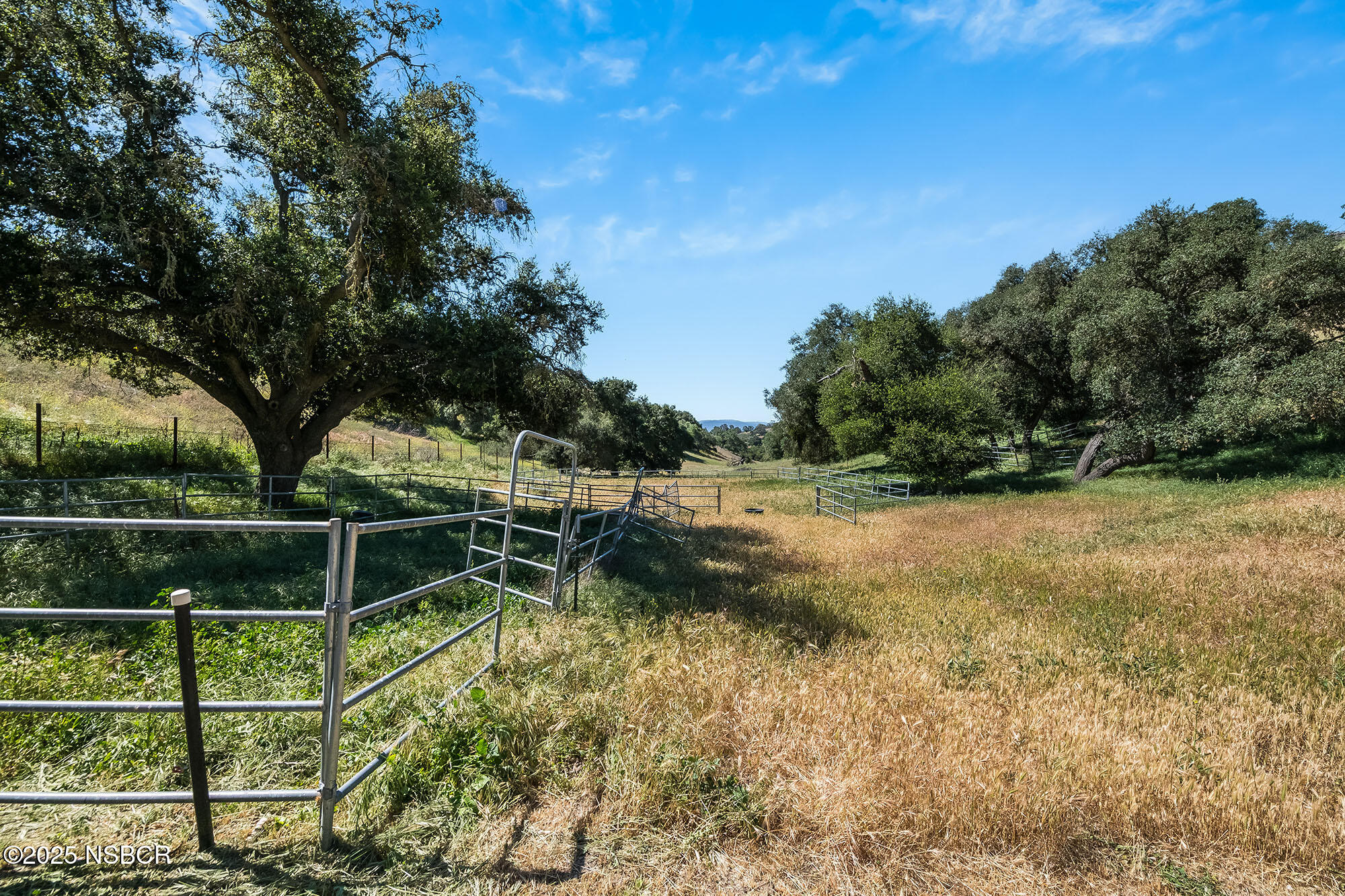 3333-3349 Long Valley Road Santa Ynez, CA 93460 - Photo 37 of 97 a view of a backyard