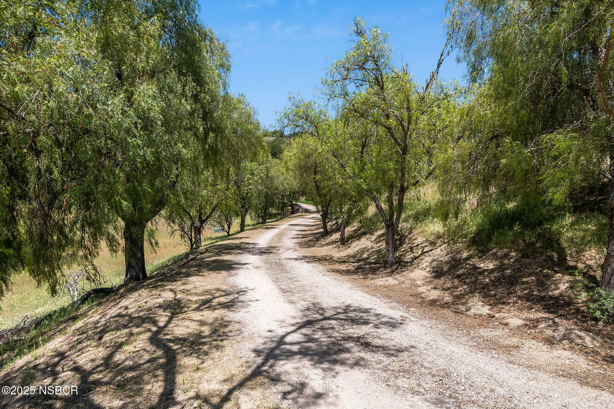 3333-3349 Long Valley Road Santa Ynez, CA 93460 - Photo 45 of 97 a view of a forest with trees